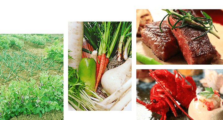 こだわり野菜 伊勢海老 ブランド牛「里見伏姫牛」